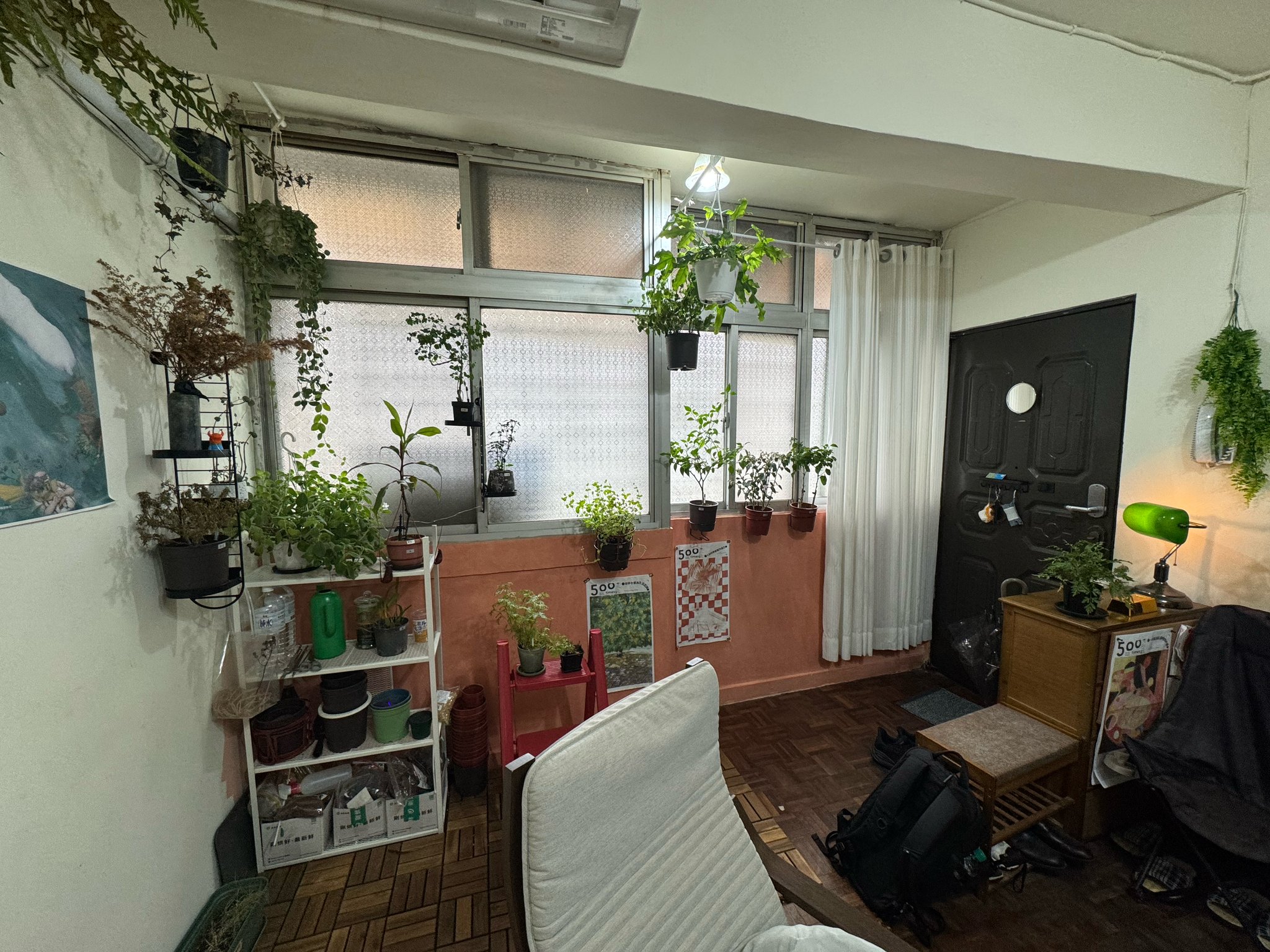 窗邊植物擺放位置的全景照片，共 18 株